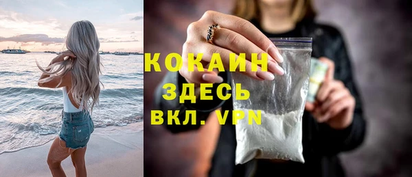 ГАЛЛЮЦИНОГЕННЫЕ ГРИБЫ Осинники