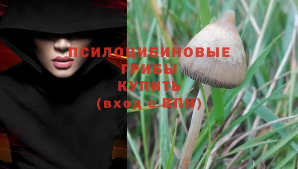 Альфа ПВП Остров