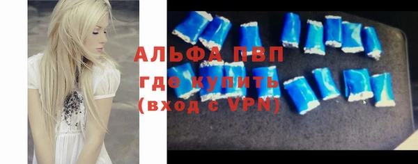 ГАЛЛЮЦИНОГЕННЫЕ ГРИБЫ Осинники