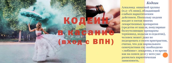 ГАЛЛЮЦИНОГЕННЫЕ ГРИБЫ Осинники