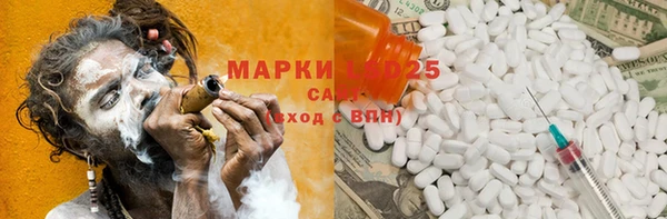 гашик Пестово