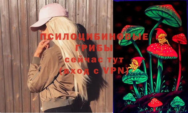 мет Пересвет