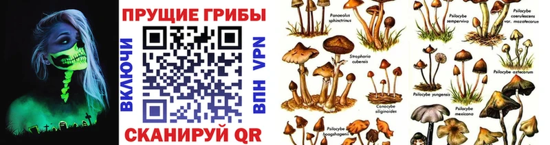 Галлюциногенные грибы мицелий Свирск