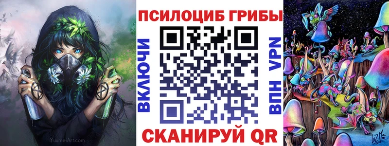 Псилоцибиновые грибы Psilocybine cubensis  купить  сайты  Свирск 
