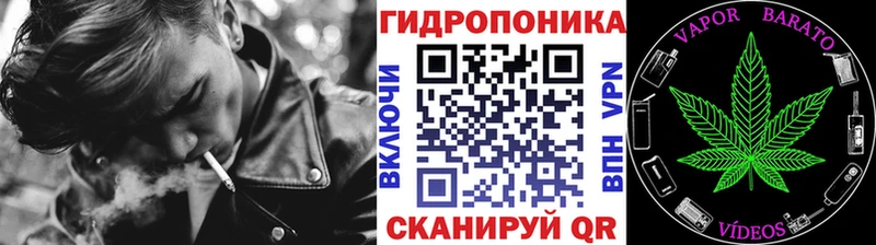 сколько стоит  Свирск  Бошки Шишки сатива 